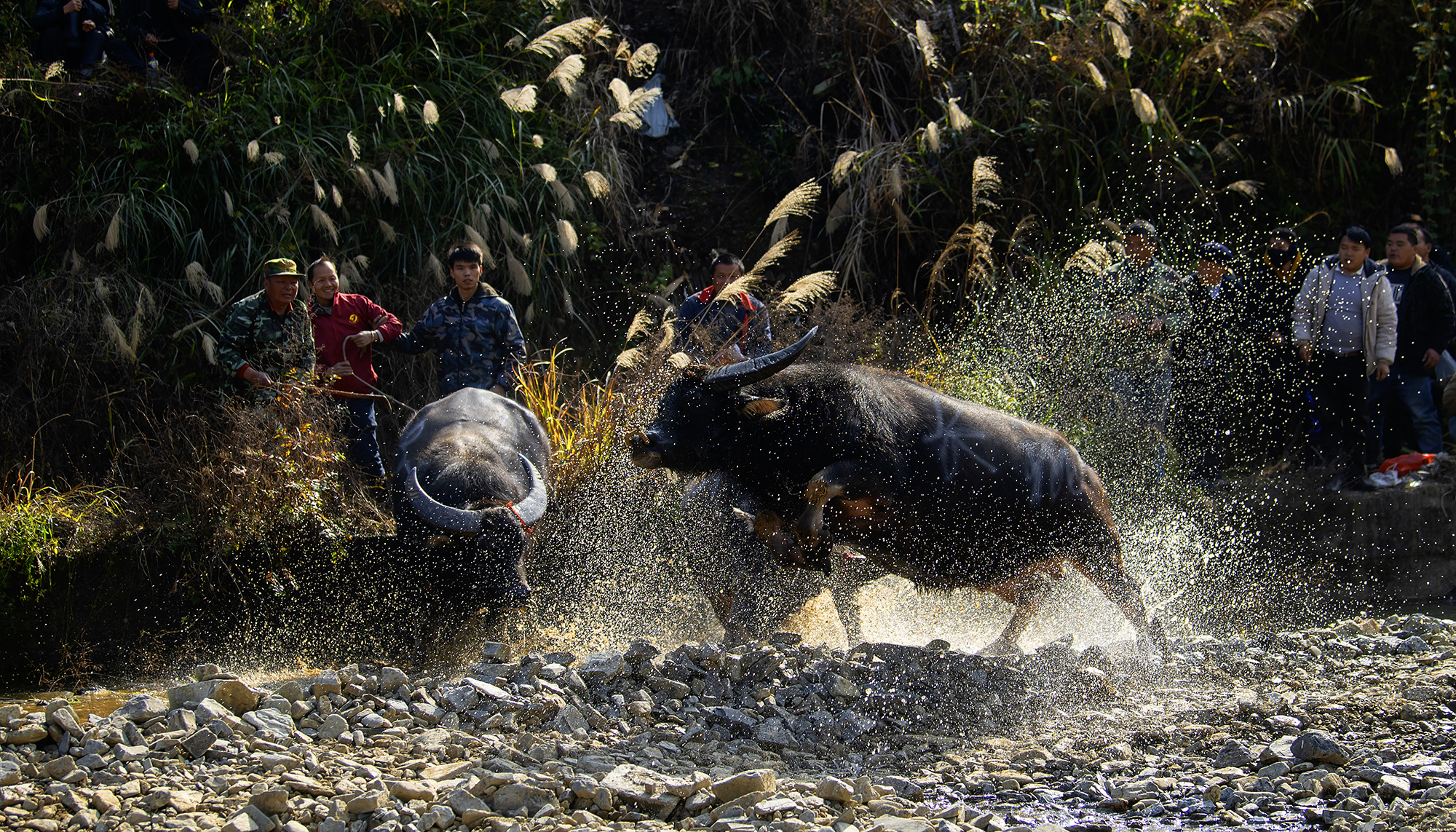 91CE151531EF7F9115E39B84D2CEBB96