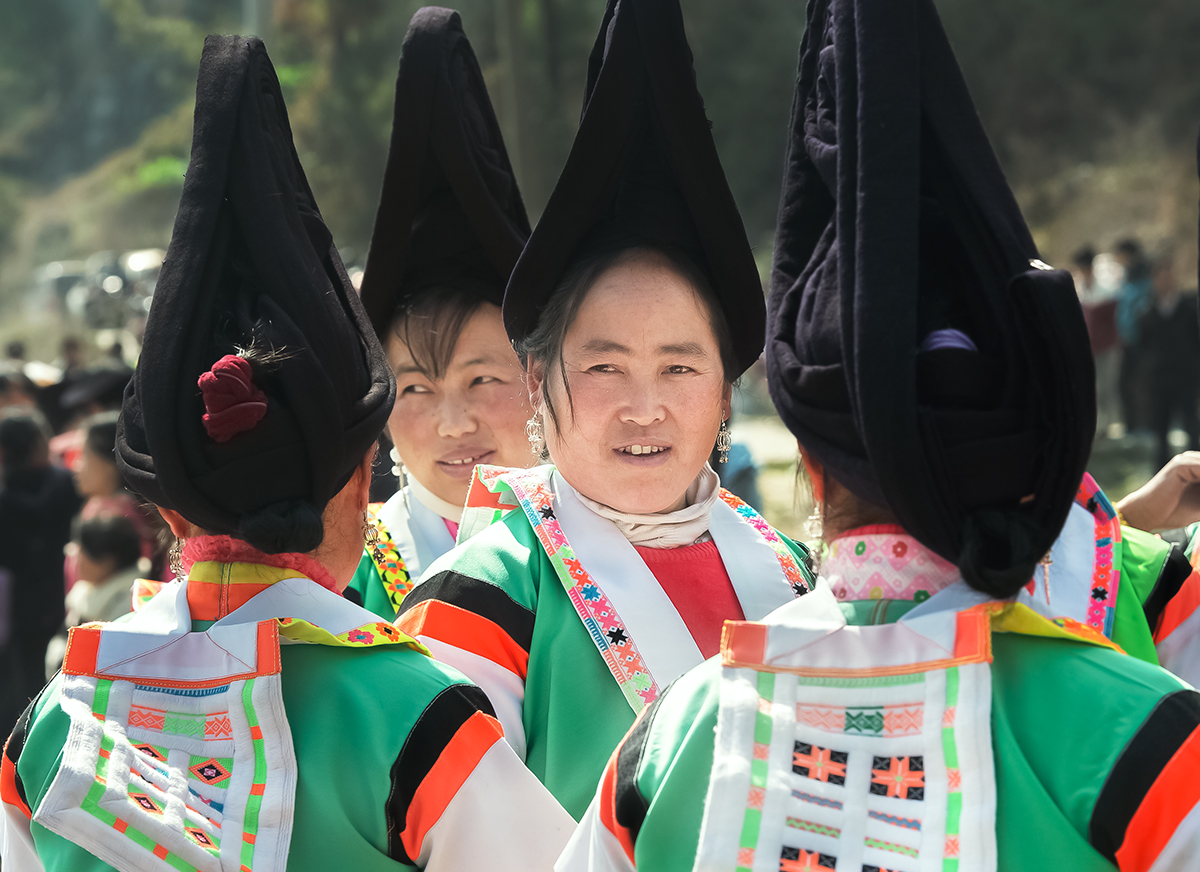 毡苗印象